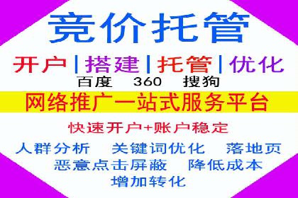 竞价SEM托管服务如何助力企业提升ROI
